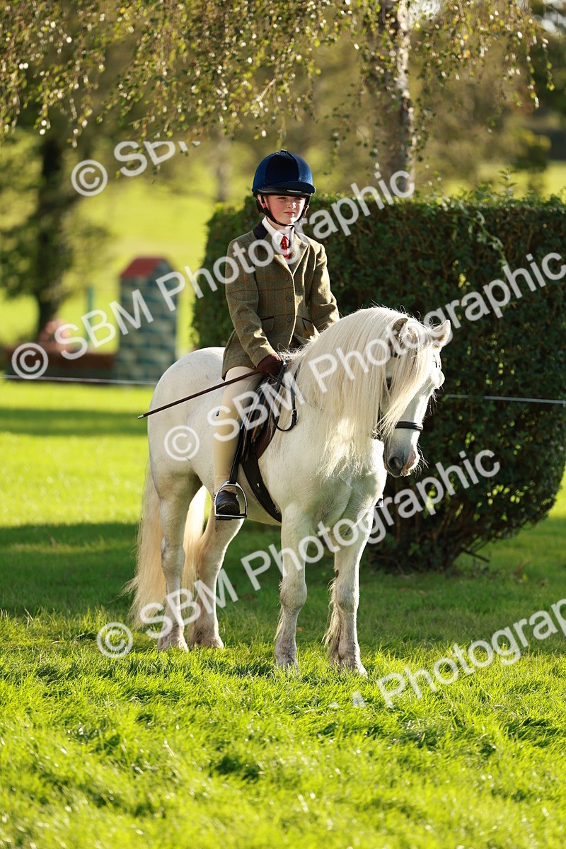 SBM_28698 - S7 - Novice & Newcomer Ridden Pony