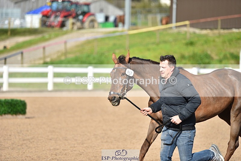 240417A-163138-01243 - 4pm to Finish