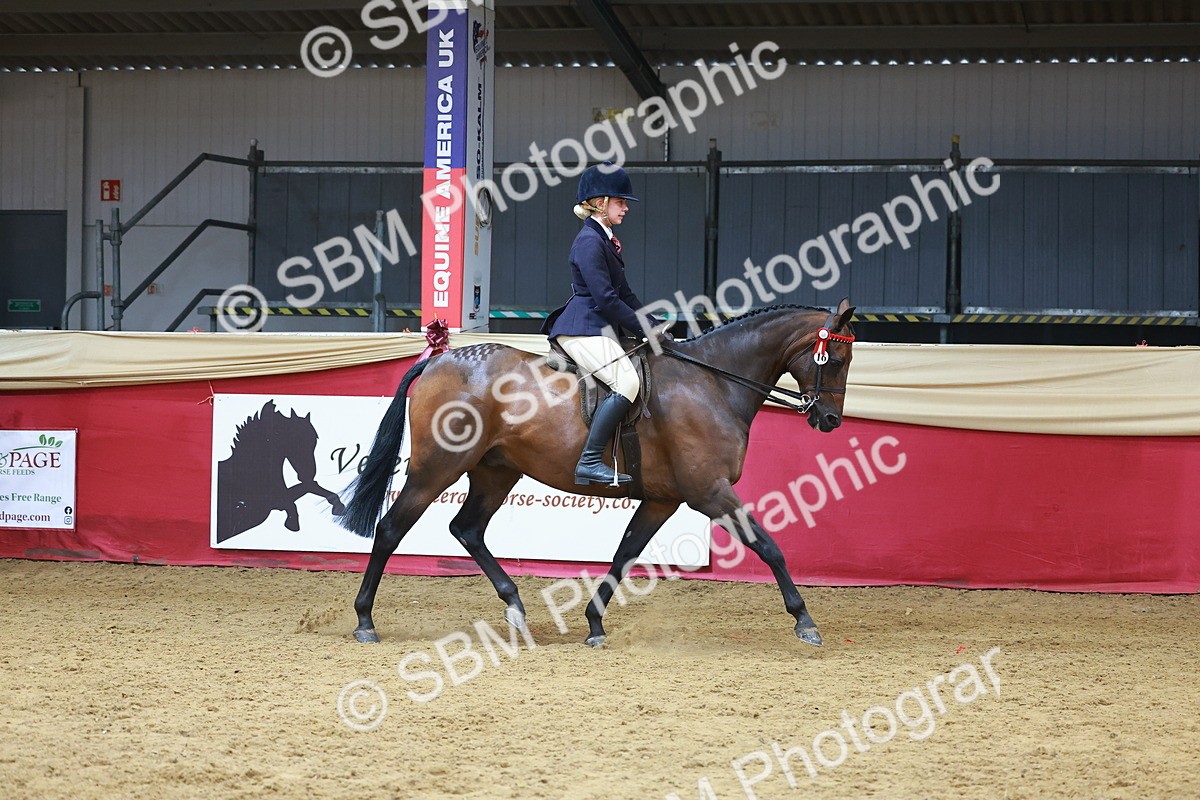 SBM_10523 - Class 103 - HOYS Veteran Qualifier - Ridden Pre Vet