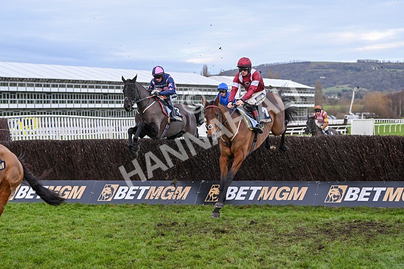 141224-Race 5-Master Chewy-1980 - Race 5