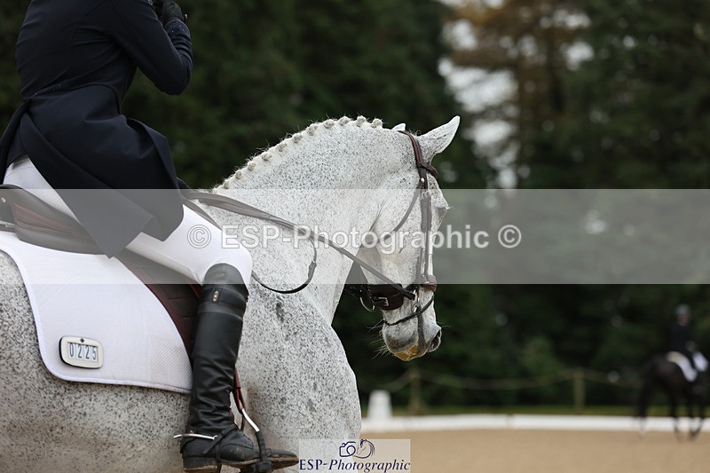 241024-110448-01505 - 225-Zennor.Harvey-GRAF.CRUSOE