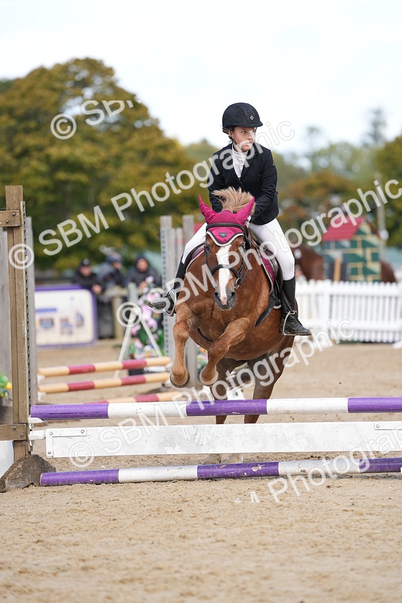 SBM_21291 - J49 - Open 50cm