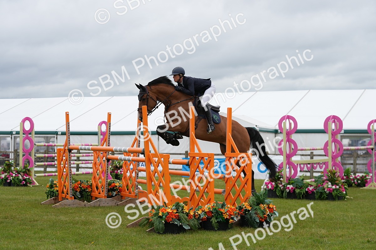 SBM_03248 - Class 201 - British Horse Feeds Speedi Beet Horse of the Year Show Grade  C