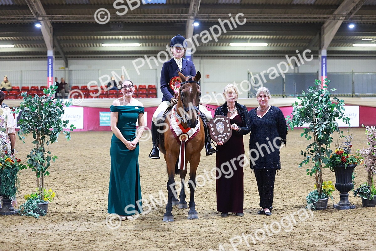 SBM_15001 - Class M - Equitation Champ