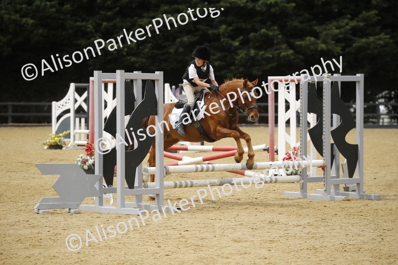 20250622-5908 - 60cm