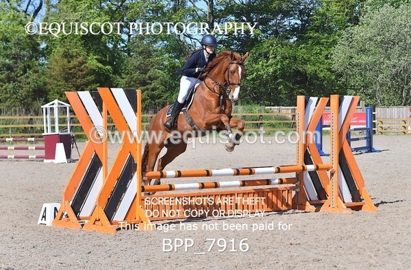 BPP_7916 - CLASS 1 - CLEAR ROUNDS