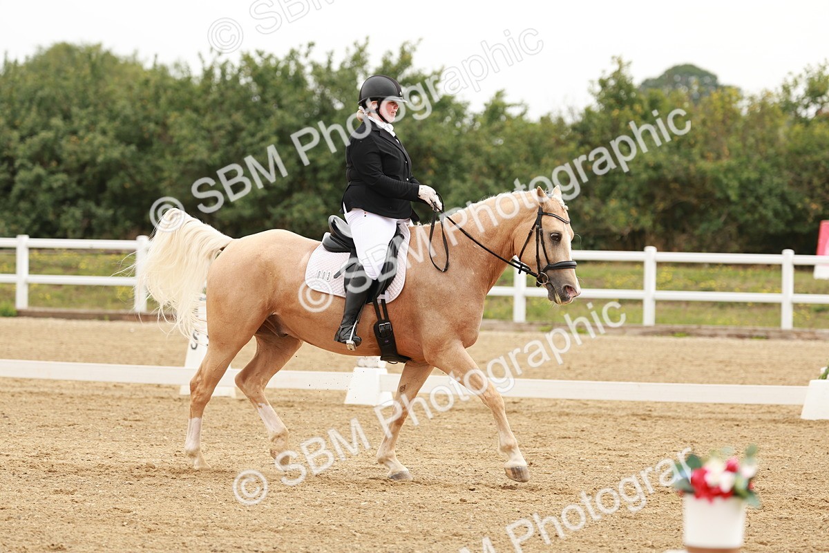 SBM_009143 - Class 12 - Elementary 6 - 9.30-10.34