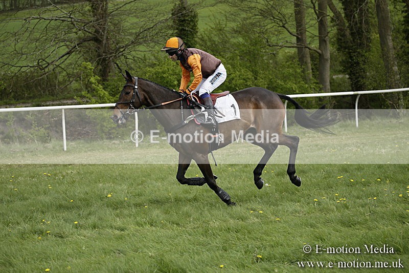 PtP 170417 149 - Old Berks Point-to-Point Lockinge 17/04/17
