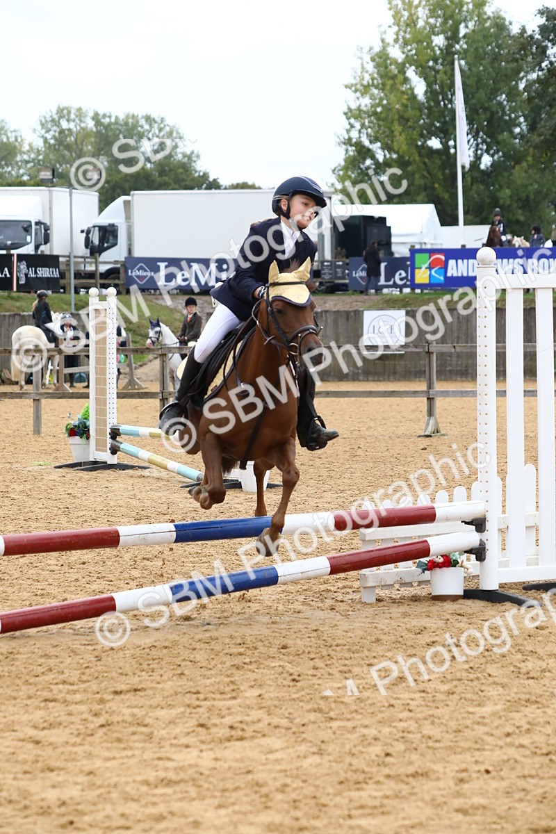 SBM_60137 - J63 - Junior Pony 50cm Championship