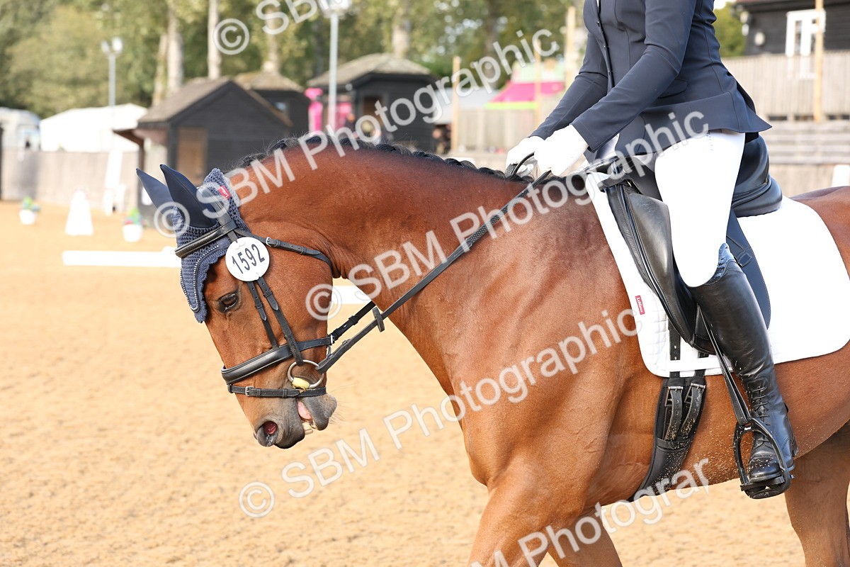 SBM_50542 - D12 - Small Tour Championship prelim 2
