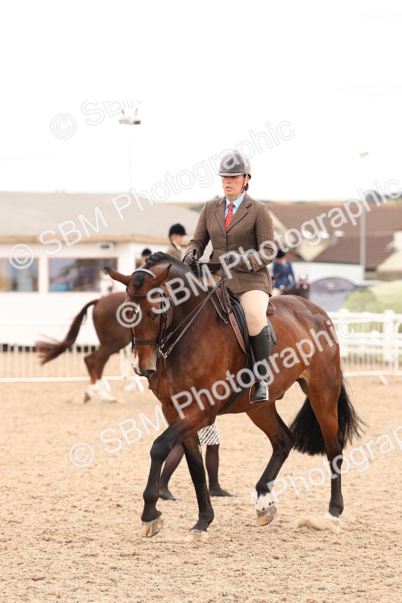 SBM_17229 - Class 213 - Ridden Hunter - Large