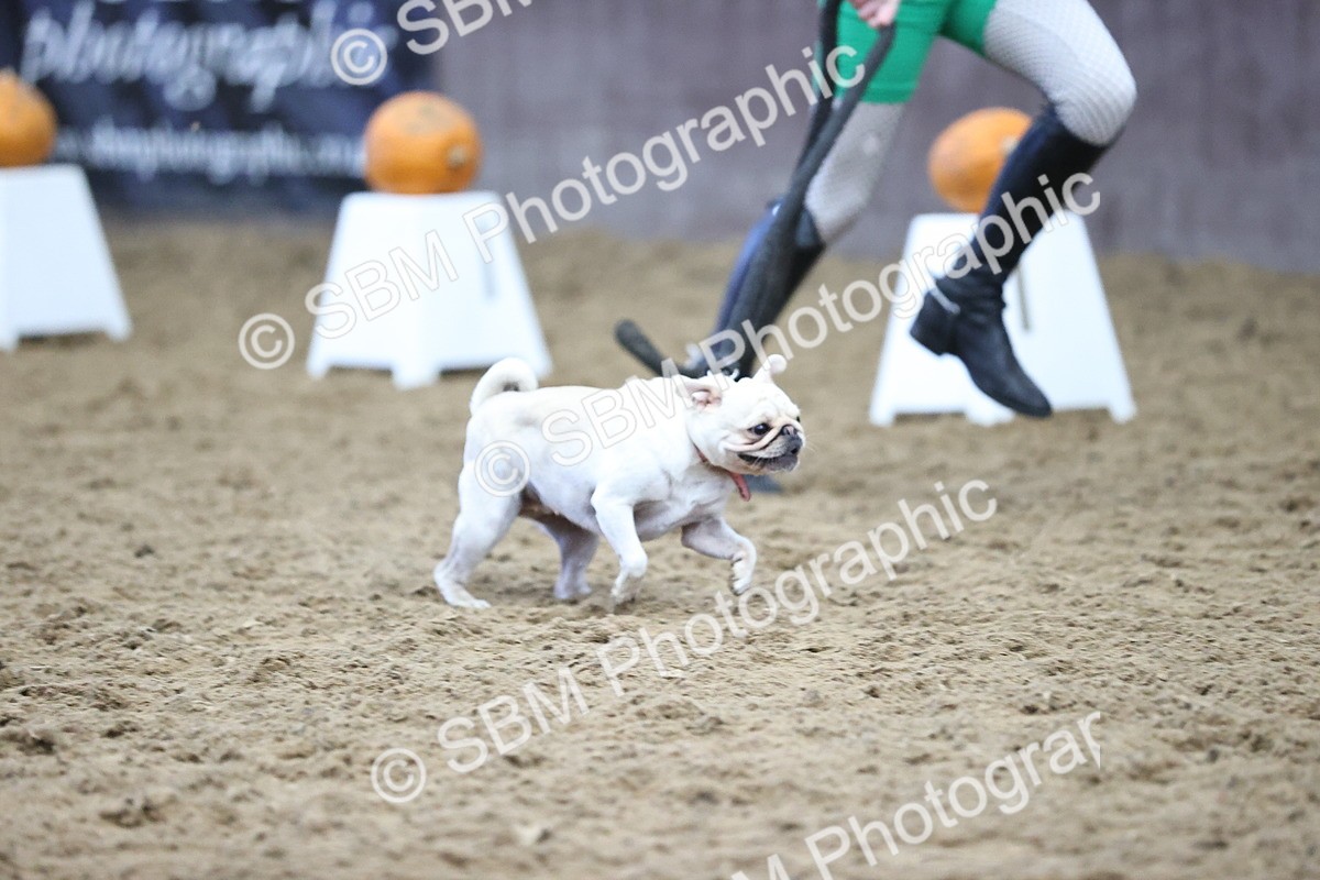 SBM_001657 - Class 3 - Horse & Hound 60cm