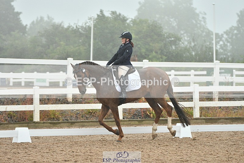 230708A-151040-03011 - Elementary 43