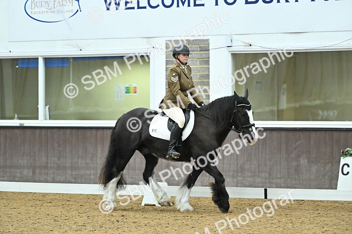 SBM_007464 - Class 81 - Novice 3
