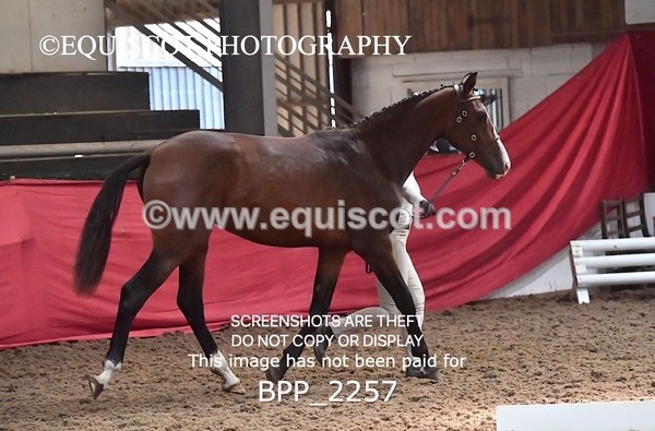 BPP_2257 - AFTERNOON 12.30 - 3.30PM