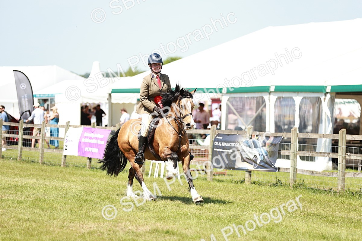 SBM_16429 - Class 110-111 - Training Stakes (70cms 80cms)