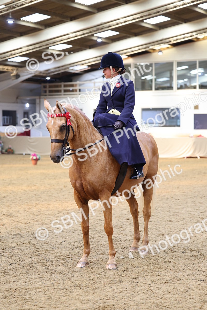 SBM_24460 - Class 906 - Supreme Final - Ridden Pre Vet