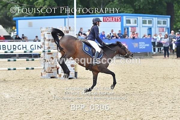 BPP_0306 - RHS 2019 Selection - *Just some random spectator shots so Lucky Dip if you are there!