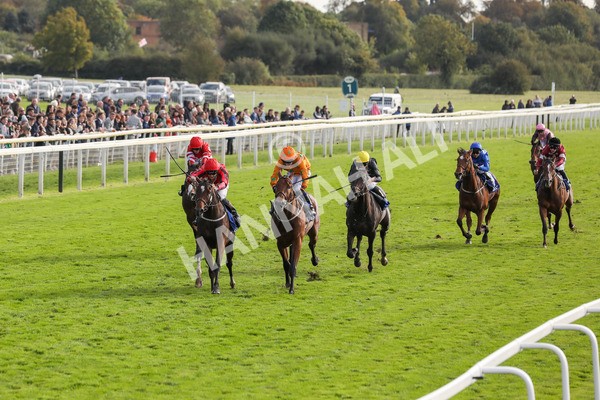 141023-Race 4-Colorada Dancer-0451 - Race 4 3.05pm Coral Racing Club EBF Maiden Stakes