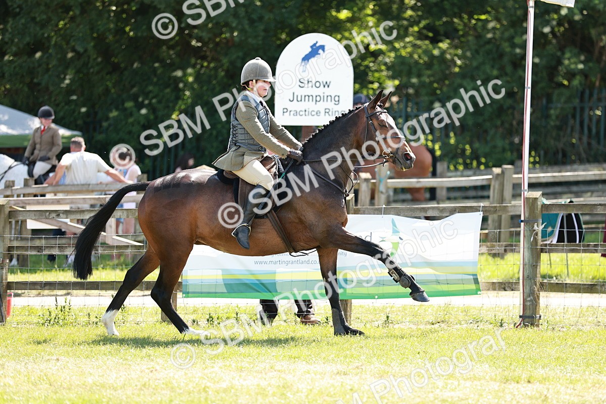SBM_18359 - Class 112-113 - BSPS LIHS Working Sports Pony