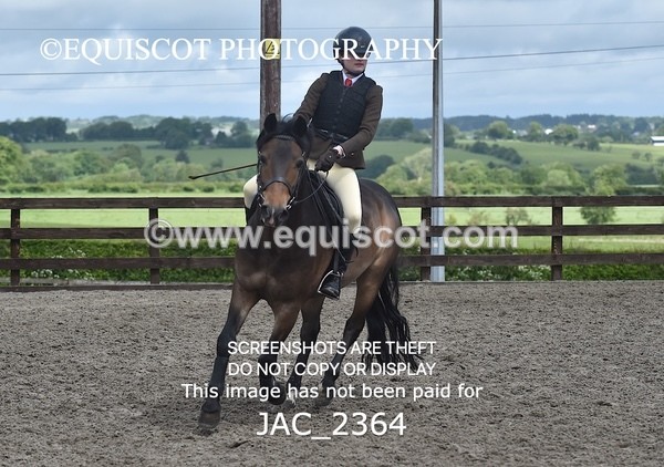 JAC_2364 - CLASS 3 Intermediate Working Hunter