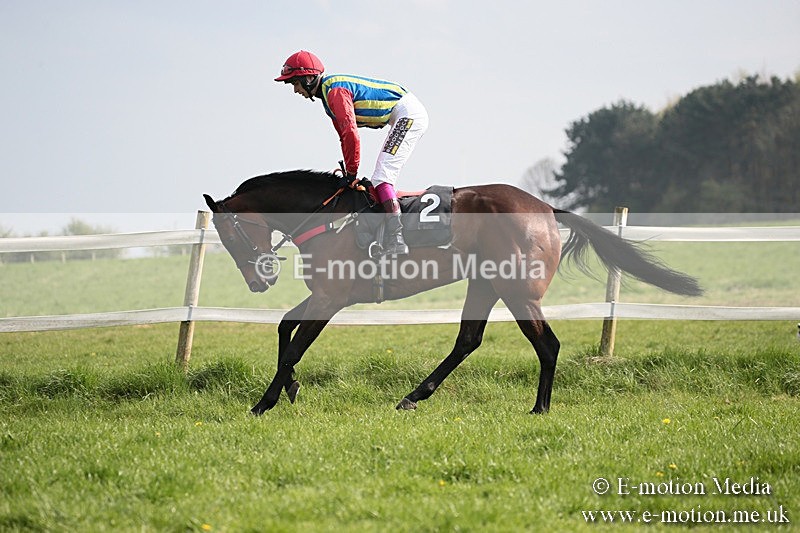 PtP 210418 398 - South & West Wilts Point-to-Point Larkhill 21/04/18