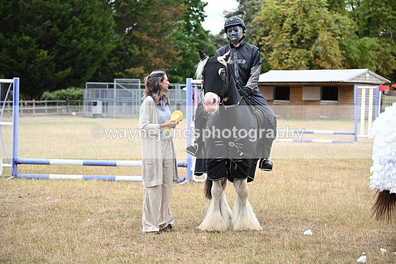 WJ6_9038 - Class 11 Fancy Dress
