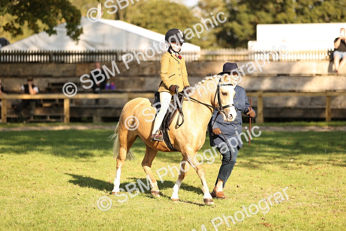 SBM_29385 - S7 - Novice & Newcomers Ridden Pony