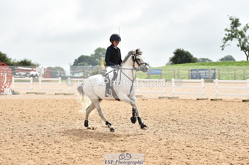 230902A-120840-00952 - Cls 2B Pony Small 80cm