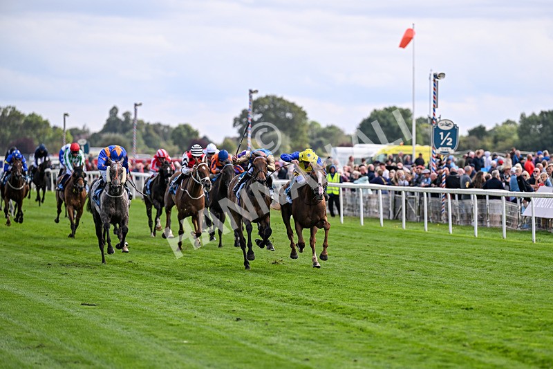 210826-Race 5-Plage De Havre-6725 - Race 5 16.10pm Assured Data Protection Handicap