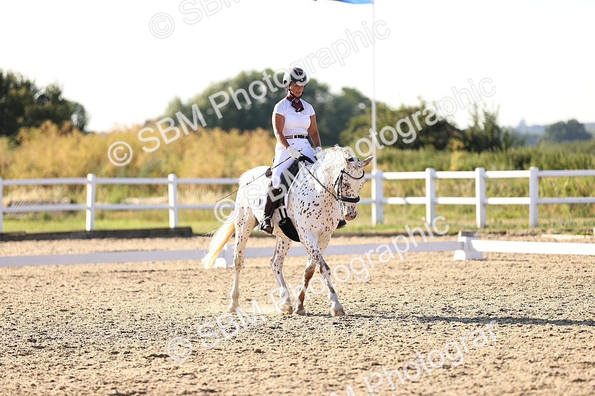 SBM_007803 - Elementary 4 - 17.07-18.22