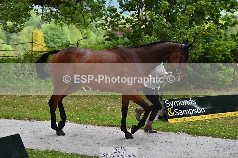 240522-150626-00089 - 305-SWHISKEY-Jeanette_Brakewell