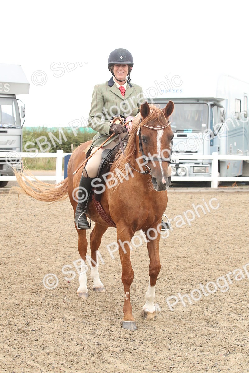 SBM_17937 - Class 508b - Working Veteran 70cm (20+)