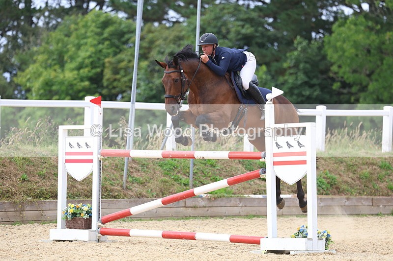 3E7A6569 - Class 9: Senior Foxhunter/1.20 open