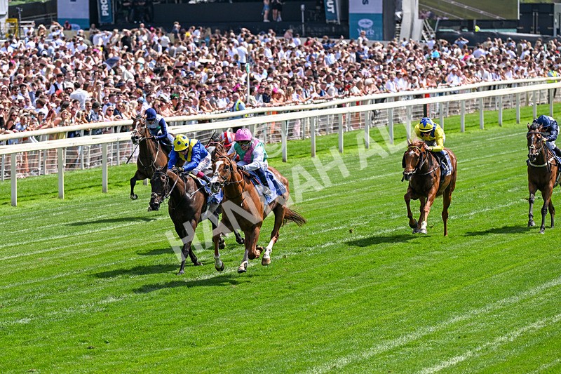 270626-Race 4-Qirat-0259 - Race 4 14.58pm Al Basti Equiworld Dubai Criterion Stakes