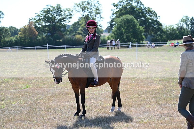 WJ7_3975 - Class 9 Mountain & Moorland Ridden