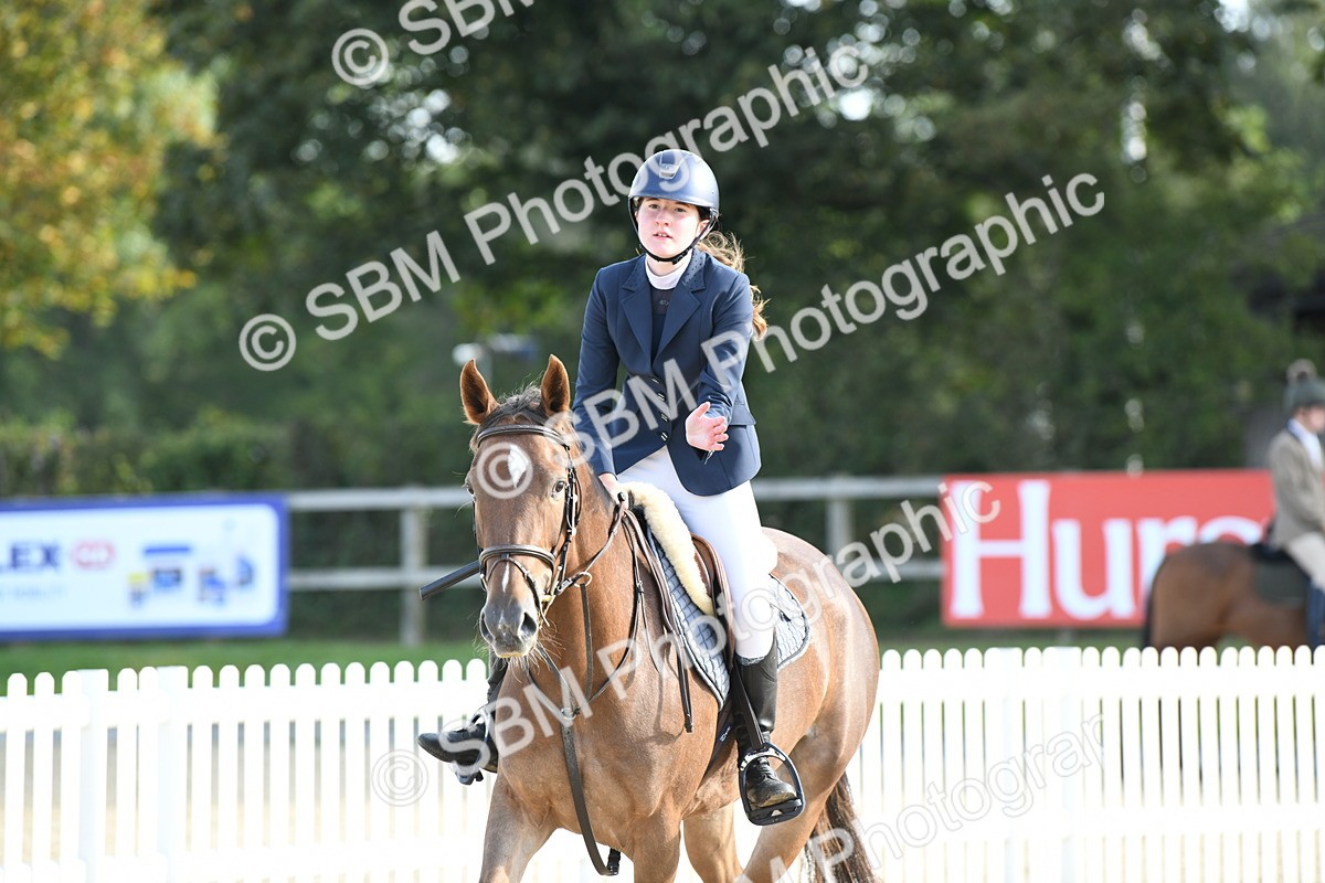 SBM_60603 - j25 - Junior Horse 80cm Championship