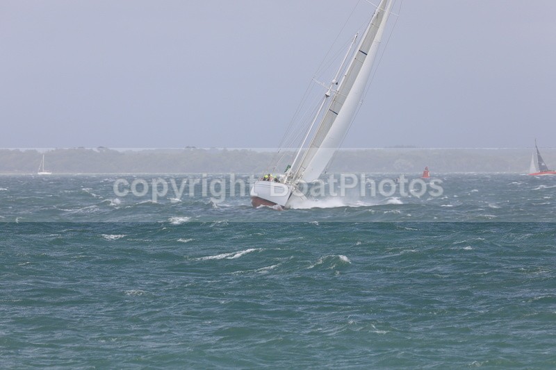  - 210808  STORMVOGEL  H700