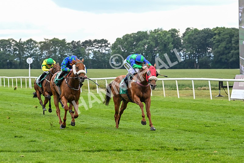 170625-Race 4-Lord Abama-5163 - Race 4