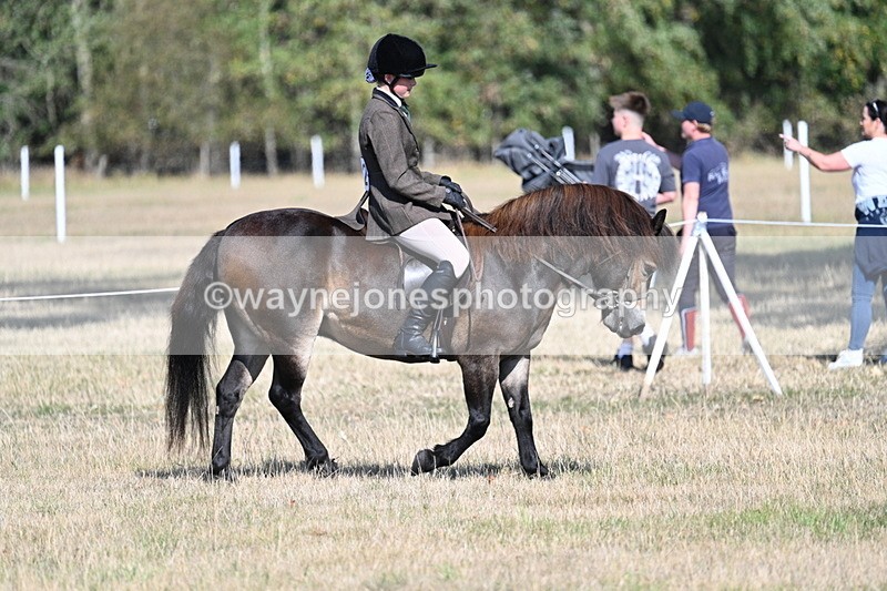 WJ7_3137 - Class 8 Ridden Tack & Turnout