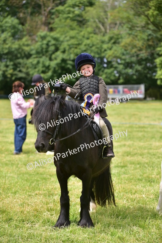 20260614-3736 - Class 15 - Prettiest Mare