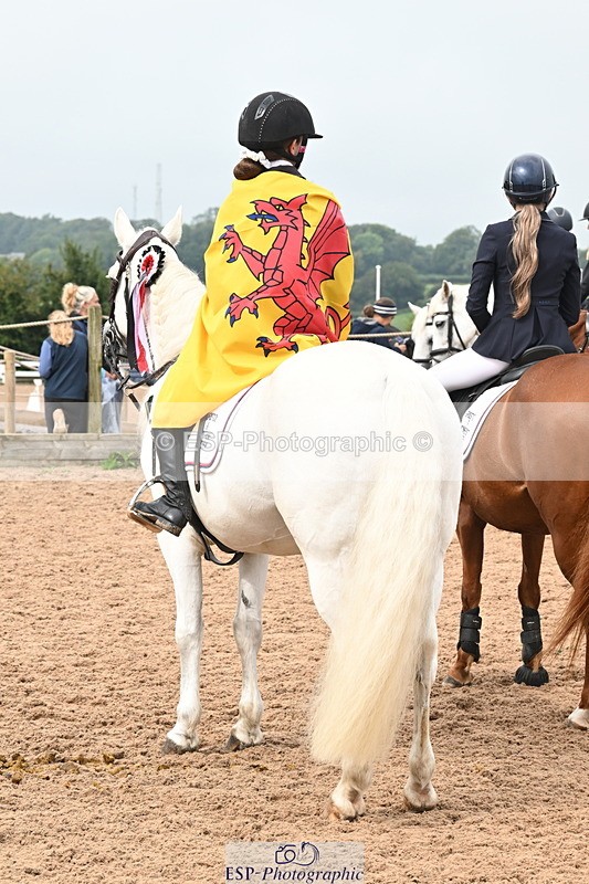 240907A-120115-01112 - Cls 2 Pony Small Team 70cm & 80cm