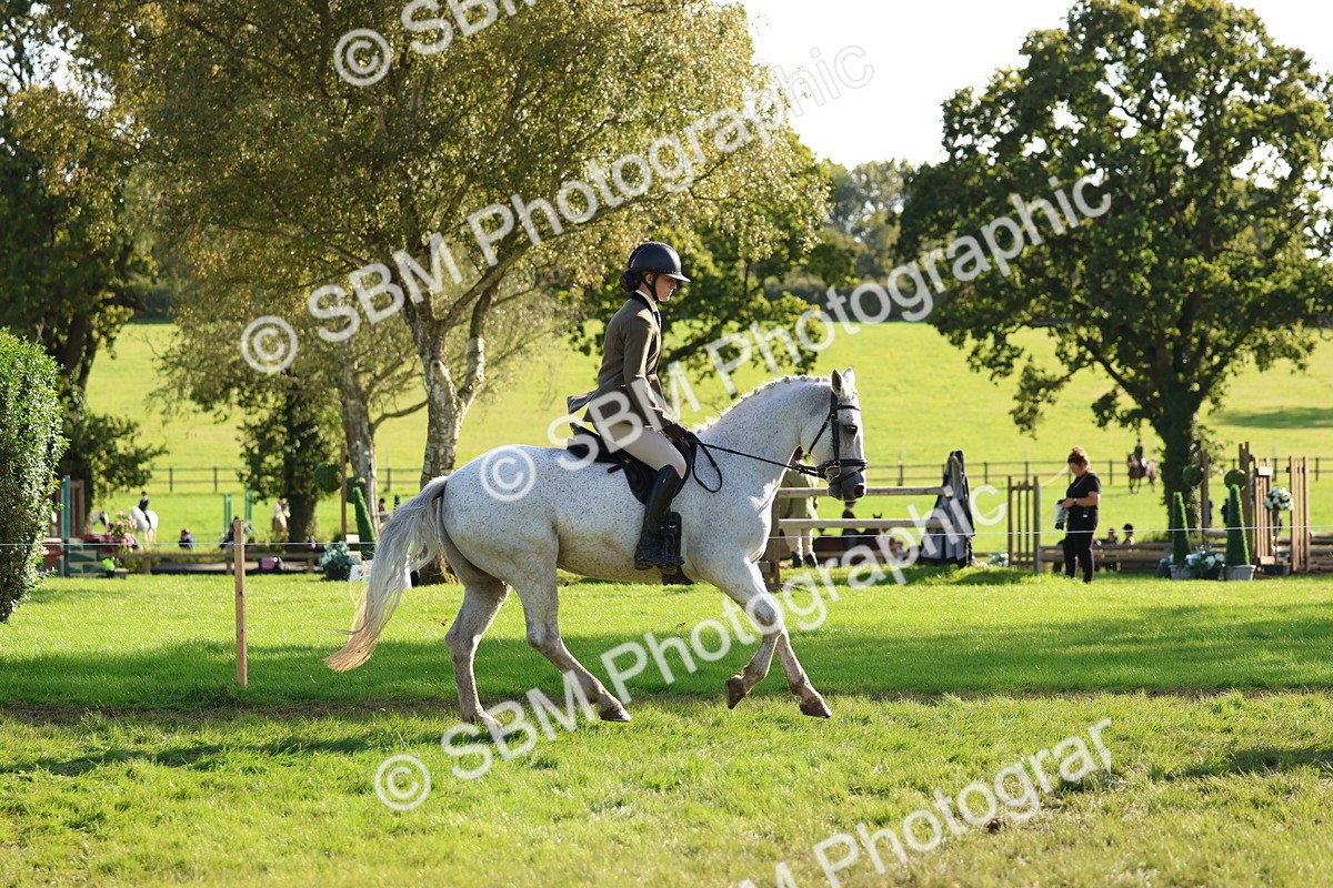 SBM_52402 - S13 - Pony Club Pony