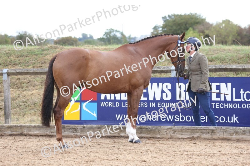20260831-1951 - Class 5 - Retraining of Racehorses