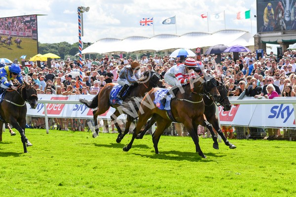 290723-Race 2-Aberama Gold-0437 - Race 2 2.40pm Sky Bet Dash Handicap