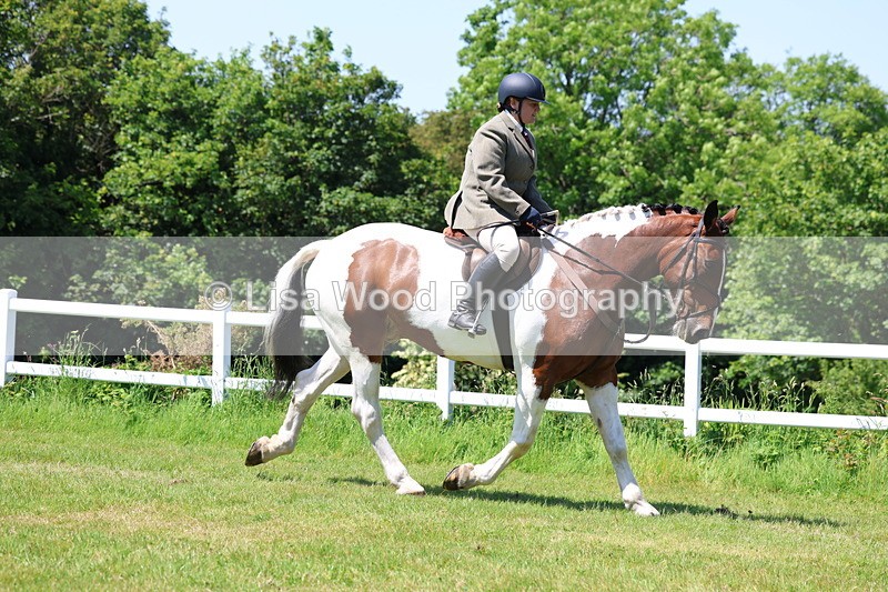 3E7A7140 - Class 30: Novice Working Hunter