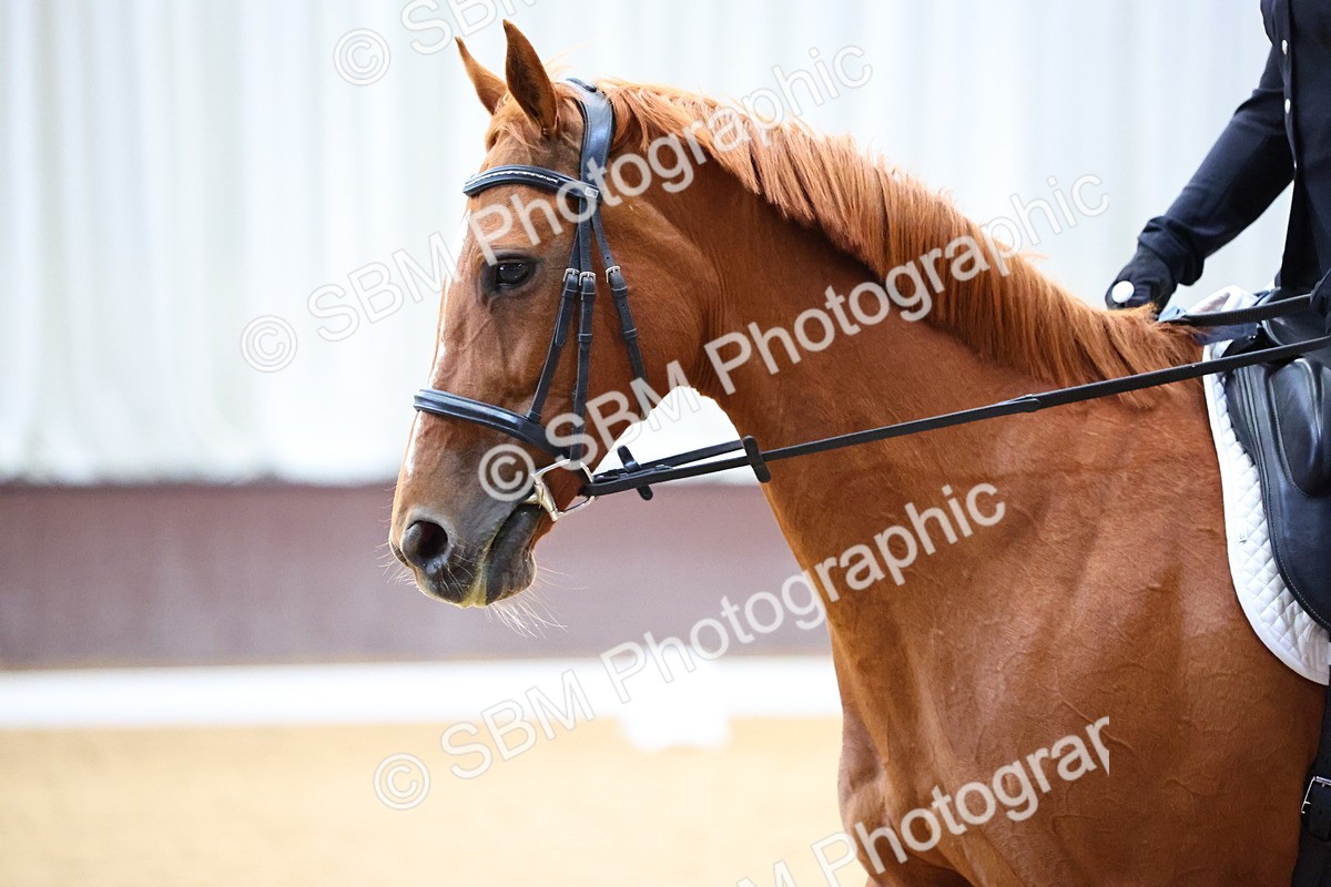 SBM_003350 - Intro 2