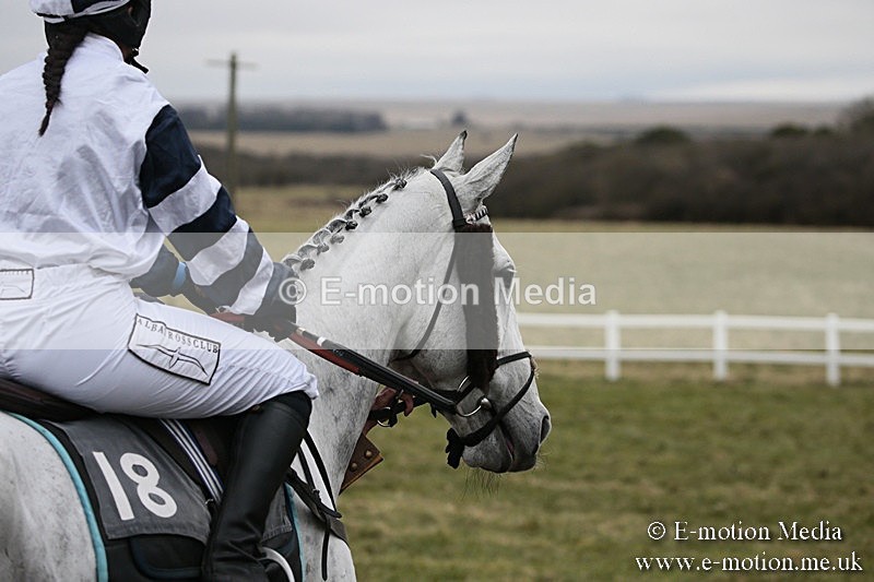 PtP 180218 487 - Combined Services Point-to-Point Larkhill 18/02/18