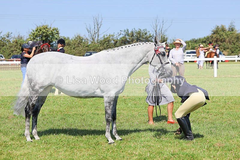 IMG_1951 - Class 33: Show Pony 148cm and under