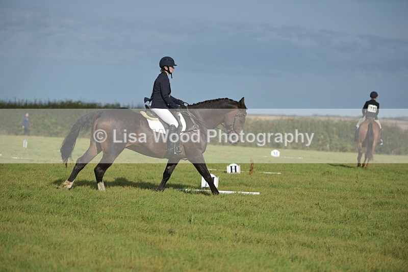 RAY_7513 - Class 2B: Trekenning Open: Dressage